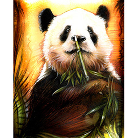 Paul Shipper